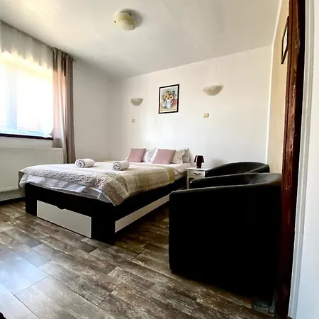Restaurant Pensiunea Carmen Bed & Breakfast 3*